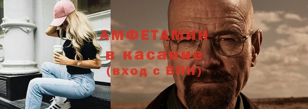 гашик Алексин