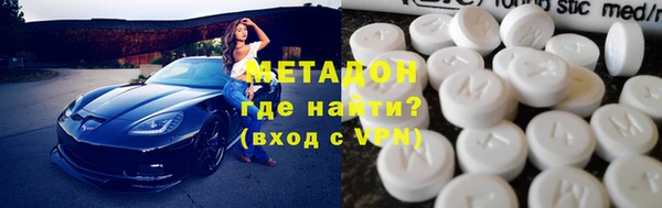 гашик Алексин