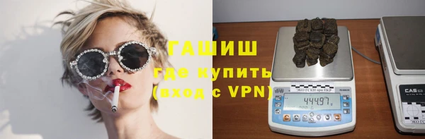 гашик Алексин