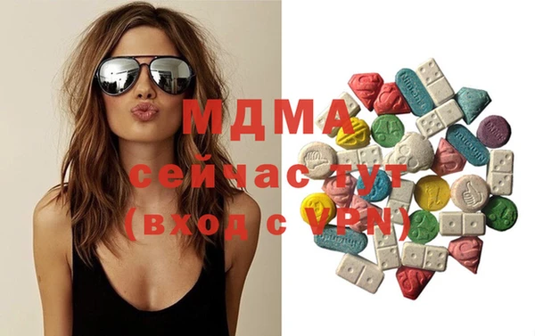 гашик Алексин