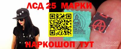 spice Кандалакша