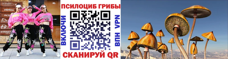 KRAKEN tor  Углич  Псилоцибиновые грибы прущие грибы 
