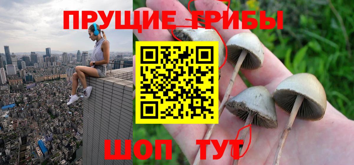 Галлюциногенные грибы GOLDEN TEACHER  Галлюциногенные грибы мухоморы  Углич  Вход с VPN 